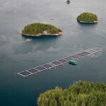 An aerial view of a salmon farm in British Columbia, Canada