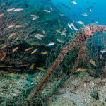 Bottom-trawl goal left abandoned on the ocean floor