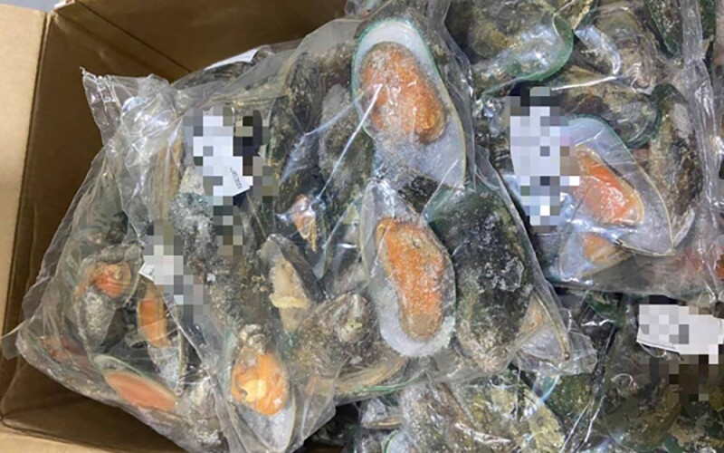 Frozen oysters confiscated