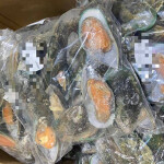 Frozen oysters confiscated
