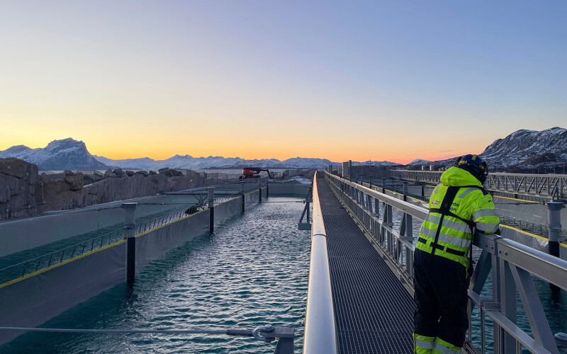 A man standing on a walkway at Gigante Salmon's flow-through aquaculture facility