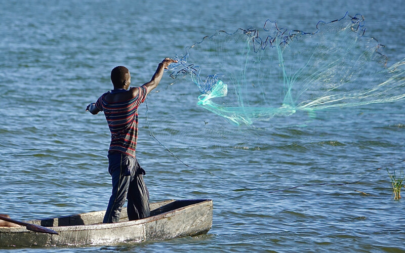A fisher casting his net on Lake Victoria