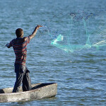 A fisher casting his net on Lake Victoria