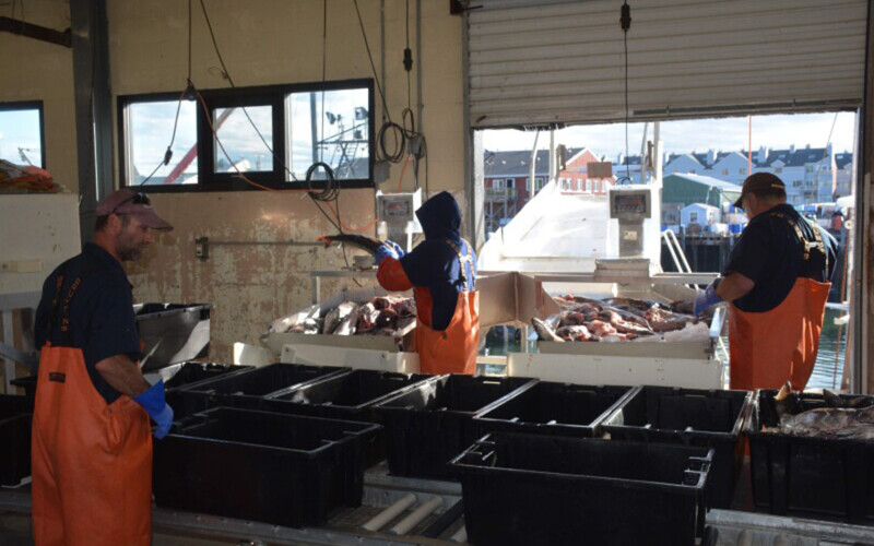 Maine's Portland Fish Exchange and Fish Pier Authority are merging.