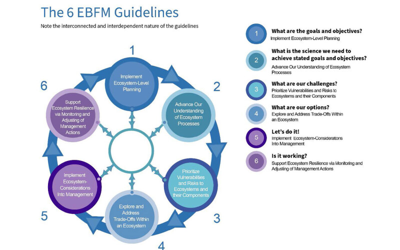A graphic showcasing how NOAA plans to implement its ecosystem-based fisheries management roadmap