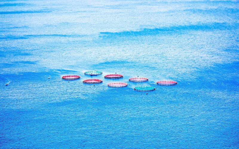 Offshore aquaculture nets set up in the Atlantic Ocean