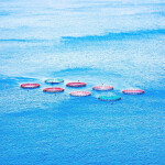 Offshore aquaculture nets set up in the Atlantic Ocean