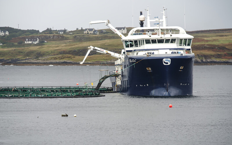A vessel attending to a Scottish salmon farm's net pen