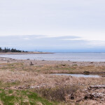 A view of the Gulf of St. Lawrence from Miscou Island, New Brunswick, Canada
