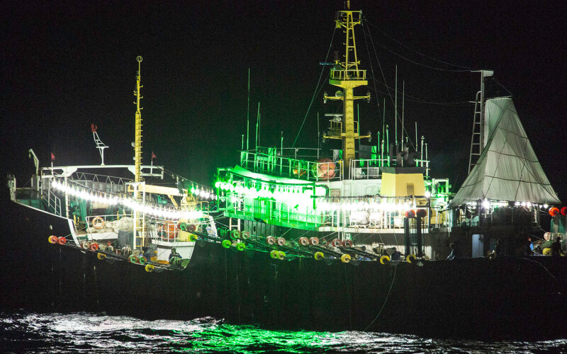 A Chinese squid-jigger