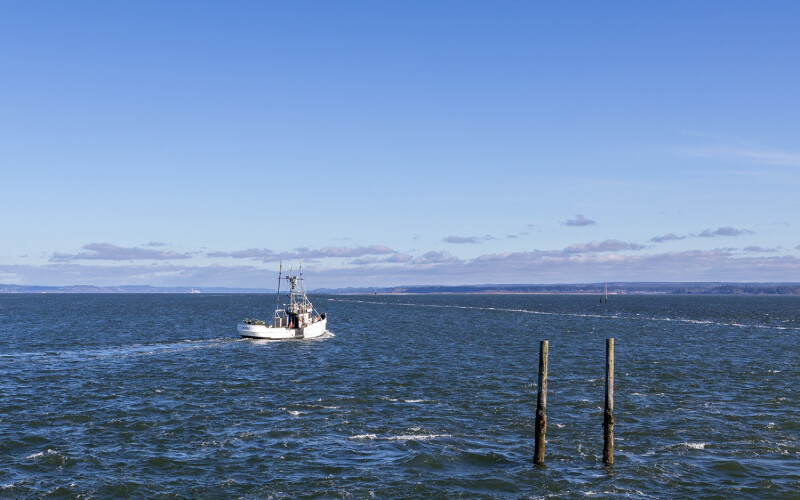A fishing trawler returns to port
