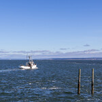A fishing trawler returns to port