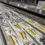 Yellow croaker for sale in Ningbo, China