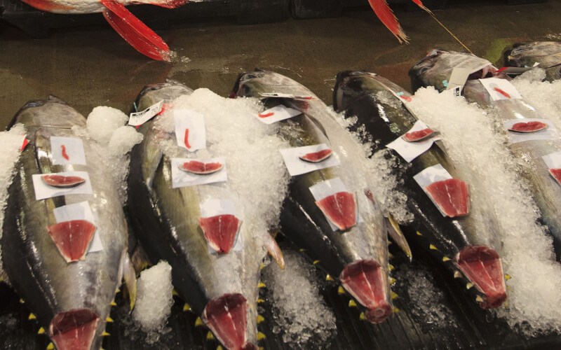 Tuna for sale in a fish market in Honolulu, Hawai'i
