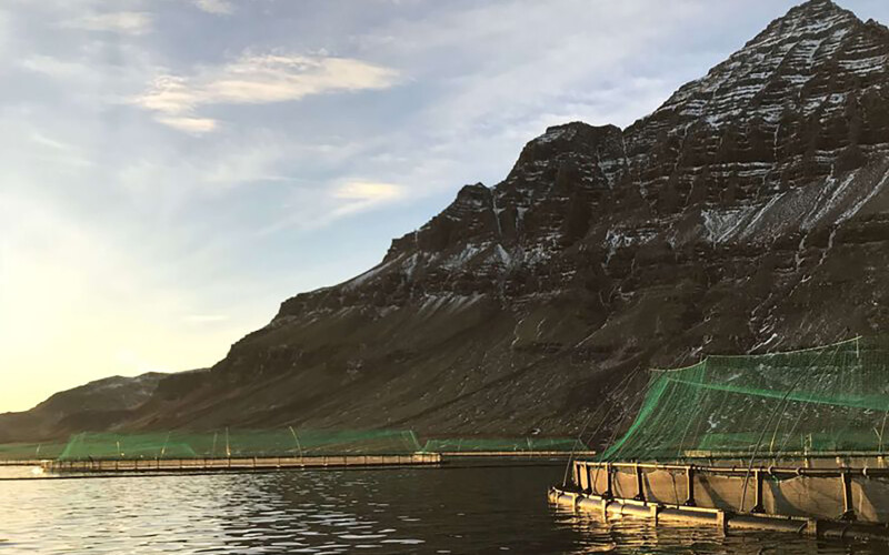 One of Kaldvik's fish farms