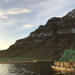 One of Kaldvik's fish farms