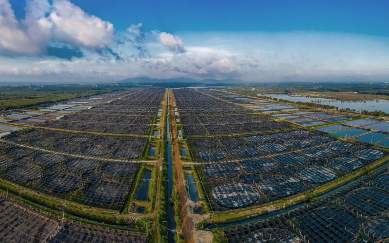 A Minh Phu shrimp farm in Vietnam
