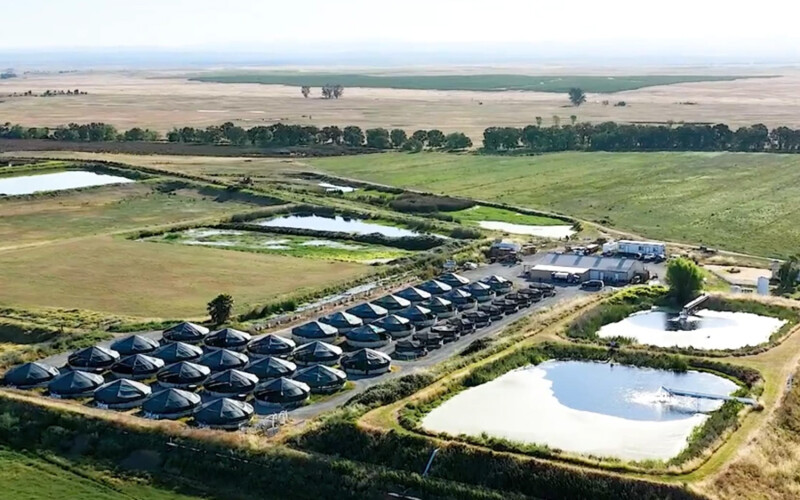 Sterling Caviar's farm in Elverta, California, U.S.A.