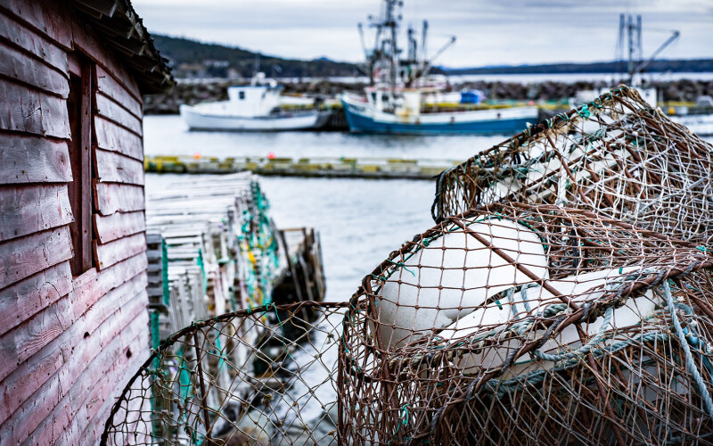 Lobster and crabbing gear in Newfoundland, Canada