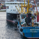 A Russian fishing vessel offloads its catch at the port in Båtsfjord, Norway