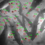 A screenshot from Observe Technologies' AI-enhanced aquaculture feeding software.