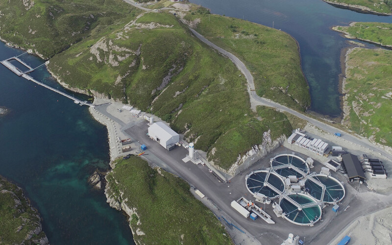 An aerial view of Bue Salmon's pilot facility