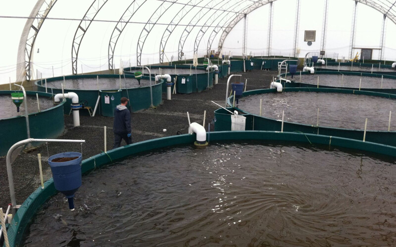 An aerial photo of Taste of BC Aquafarms' recirculating aquaculture system facility