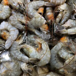 Shrimp in a pile