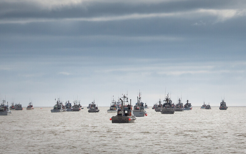 A fleet of fishing vessels in Bristol Bay
