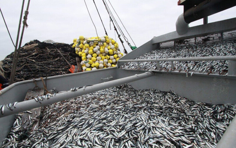 A Peruvian anchovy fishing boat