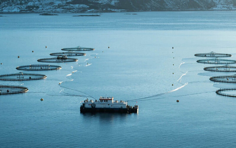 A Mowi farm in Norway