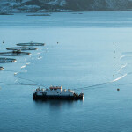 A Mowi farm in Norway