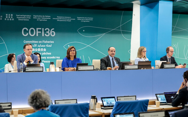 The UN FAO Committee on Fisheries during its first plenary at its 36th session in Rome, Italy