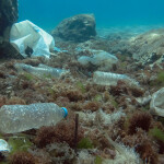Plastic pollution in the Mediterranean Sea