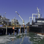 A fishing vessel in Washington state unloading its catch
