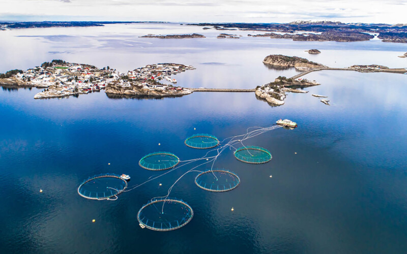 A salmon farm in Bergen, Norway