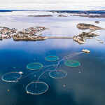 A salmon farm in Bergen, Norway
