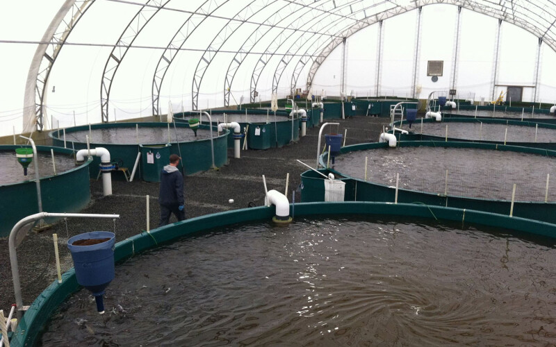 The Taste of BC Aquafarms facility in Canada.