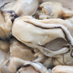 A plate of raw oysters