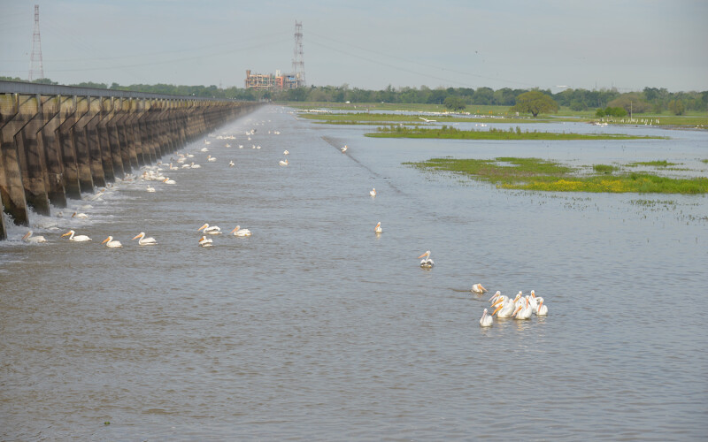 The Bonnet Carre Spillway in Mississippi, U.S.A.