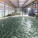 The interior of The Kingfish Company's recirculating aquaculture system facility