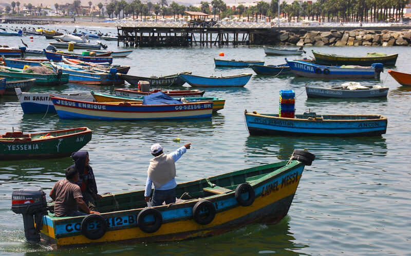 Artisanal fishers in Peru