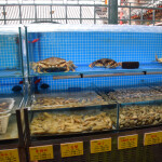 Live shellfish sold in a restaurant in China