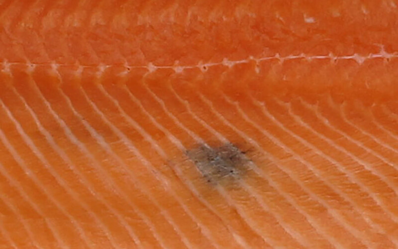 A dark spot on a salmon fillet