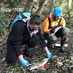 Two researchers monitor a coho salmon death in Longfellow Creek in Seattle, Washington, U.S.A. in 2020