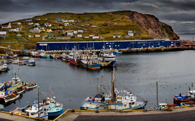 An aerial view of Quinlan Brothers' facility in Newfoundland