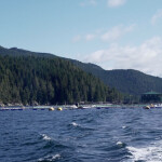 Salmon farm net pens in the water near islands in British Columbia, Canada