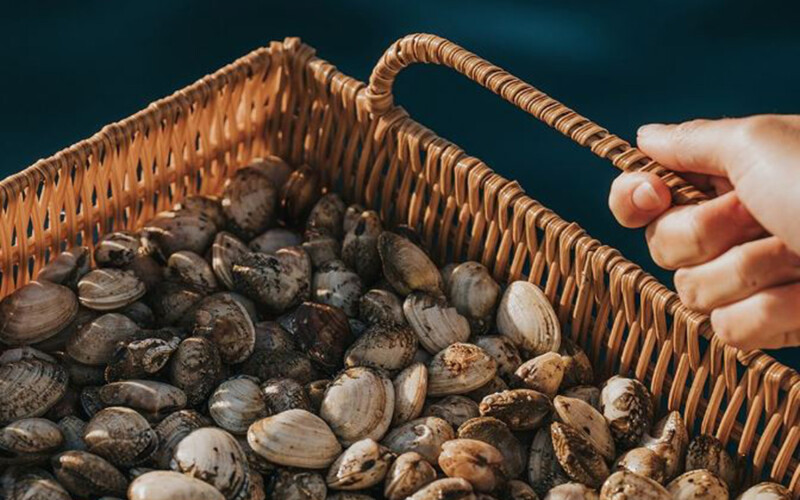 Oceano Fresco farms clams and other bivalves in Nazaré, Portugal