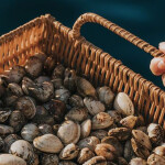 Oceano Fresco farms clams and other bivalves in Nazaré, Portugal