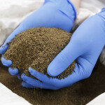 Powdered protein made out of black soldier flies